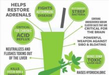 10 Health Benefits of Celery Juice and Why You Should Start Juicing It Today