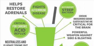 10 Health Benefits of Celery Juice and Why You Should Start Juicing It Today