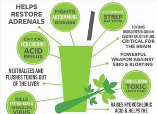 10 Health Benefits of Celery Juice and Why You Should Start Juicing It Today