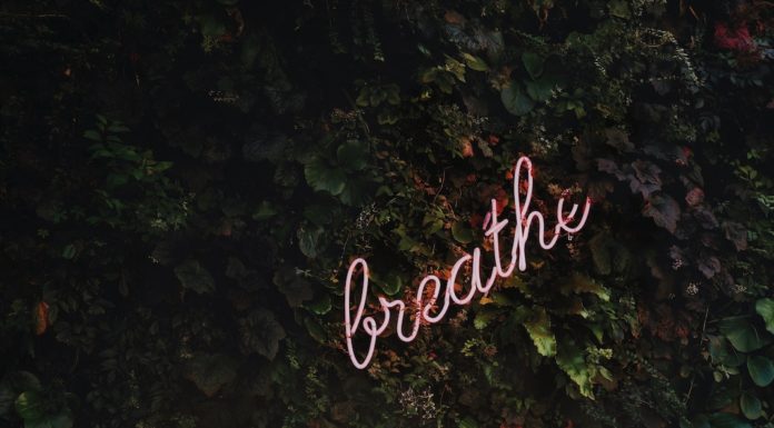 5 Pin Fridays – 02/14/2020 What’s Happening This Week